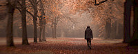 Spaziergang in einer Allee - © 