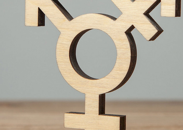 Transidentität (Transsexualität) / Transgender Transidentität Symbol - ©